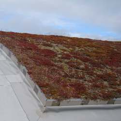 Green Roof