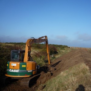 Watching the digger strip the vegetation