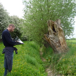 Graham conducting a Phase 1 habitat survey