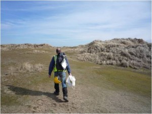Taking lizards to the Dunes at Burnham Overy