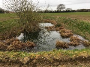 Ecological Enhancement Advice targeted by habitat