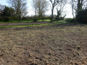 ecological mitigation coastal grassland