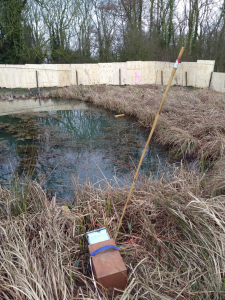 water vole surveys