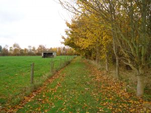 tree survey heat pump